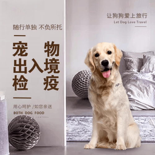 德宏傣族宠物托运到哥伦比亚猫狗宠物入境规定和