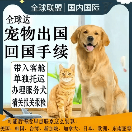 德宏傣族宠物托运到柬埔寨宠物入境规定和要求