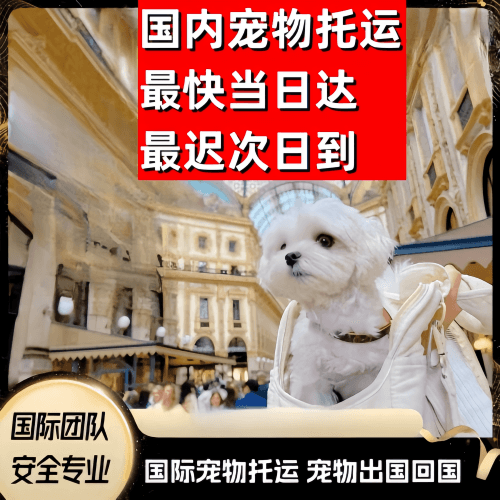 德宏傣族到澳大利亚（澳洲）宠物入境规定和要求