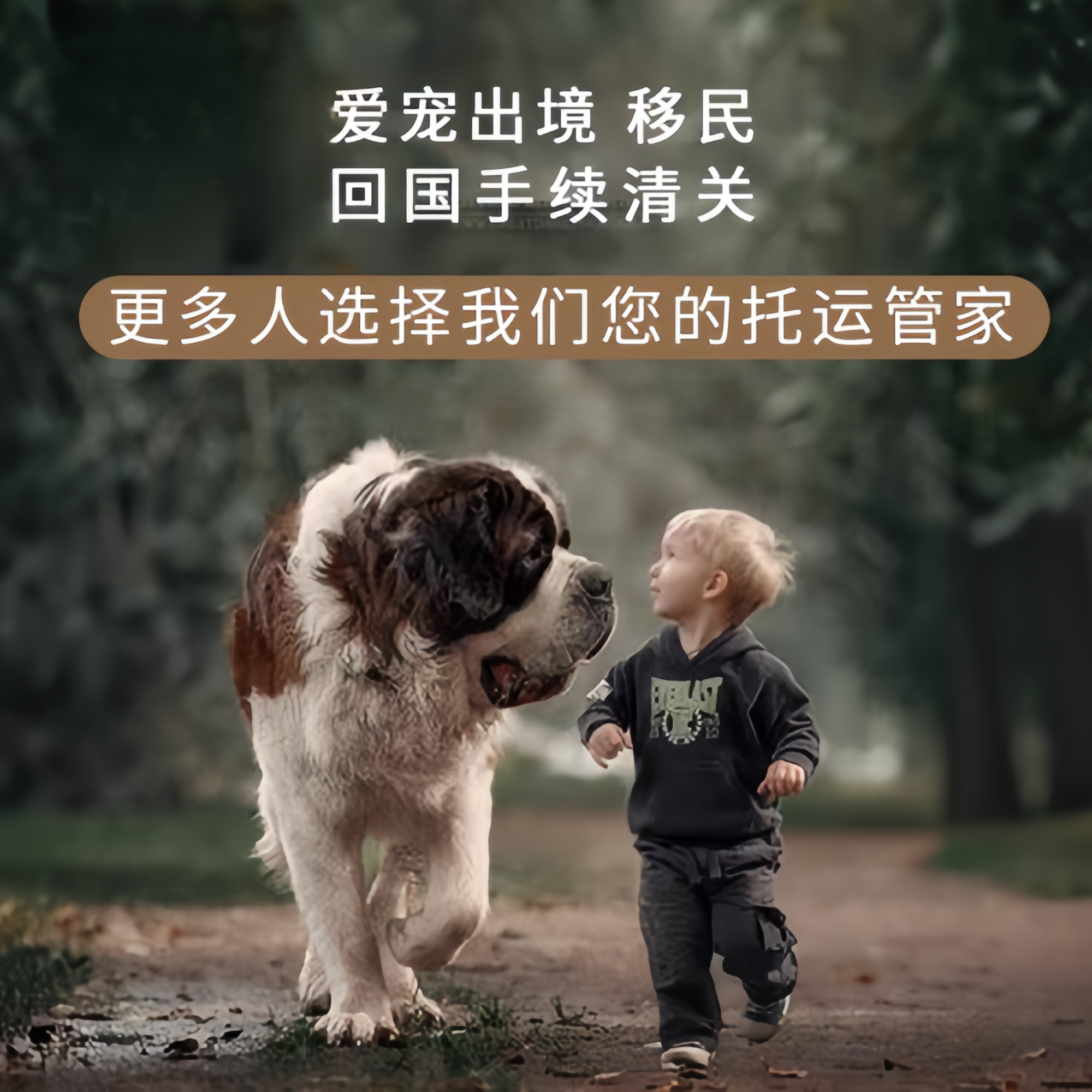 满财德宏傣族宠物全球达宠物托运在遵守入境目的地政策的条件