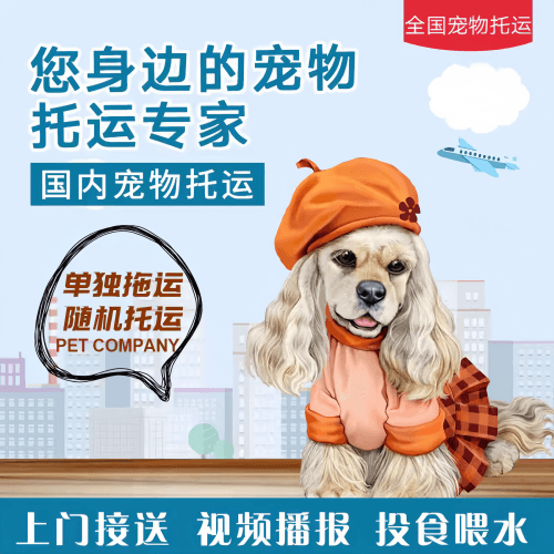 满财德宏傣族宠物全球达宠物托运作为专业的宠物运输代理机构